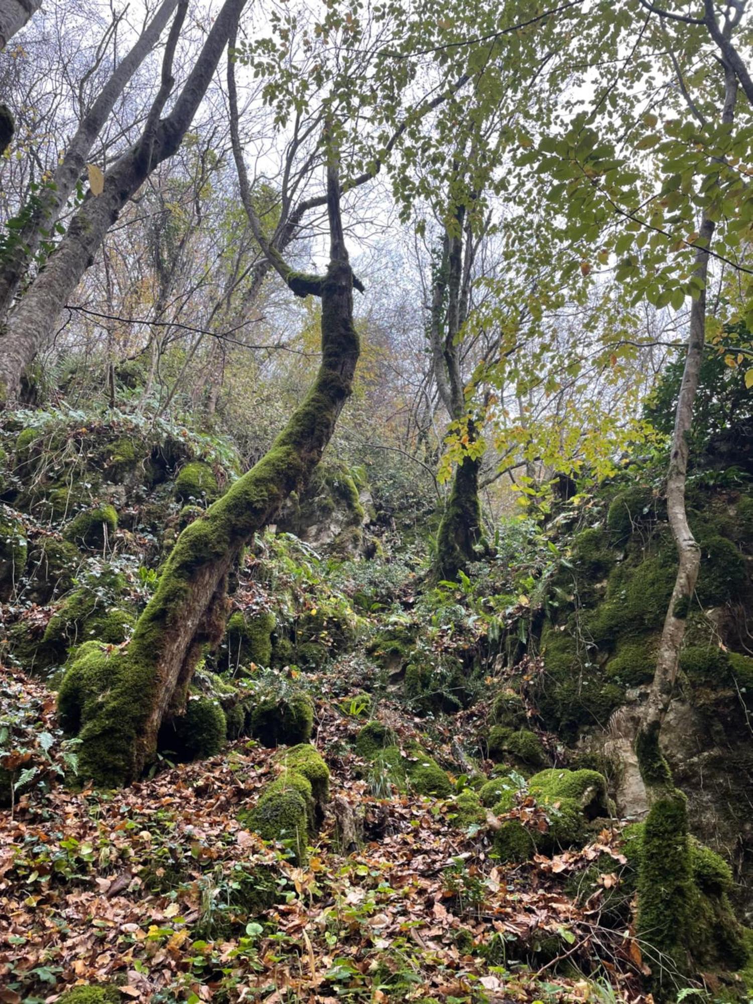 Mooie Bungalow In De Prachtige Natuur Hastiere-par-dela Luaran gambar